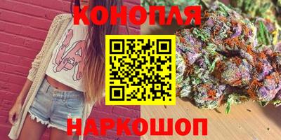 индика Ижевск