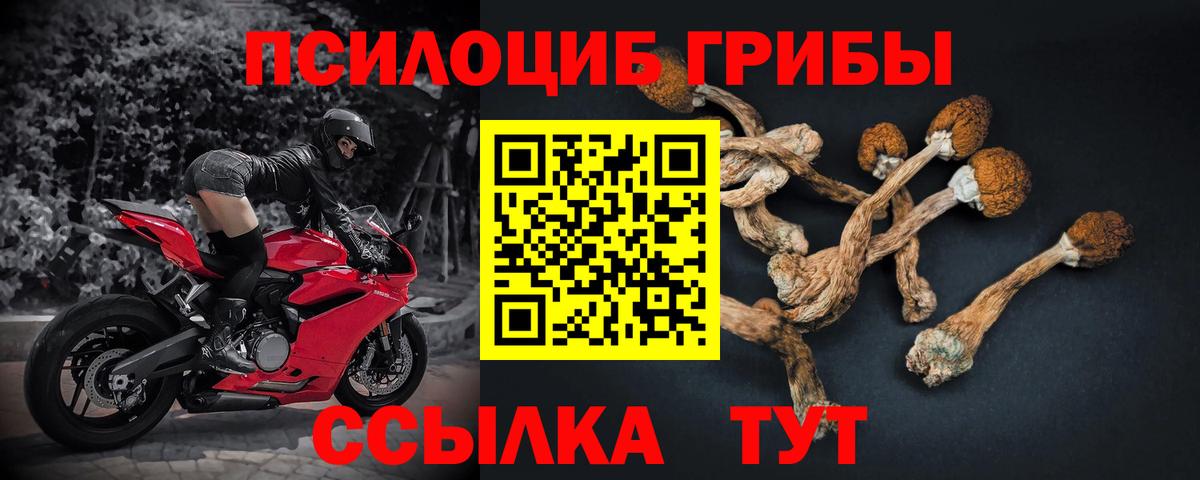 Псилоцибиновые грибы Psilocybe  Галлюциногенные грибы мухоморы  Семёнов  Вход с VPN 